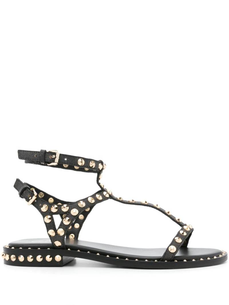 Ash Panic studded sandals - Black von Ash