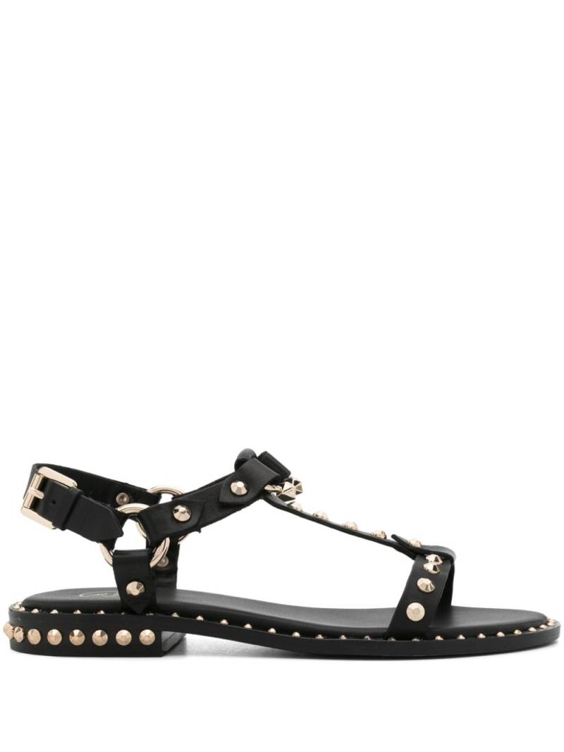 Ash Patsy studded sandals - Black von Ash