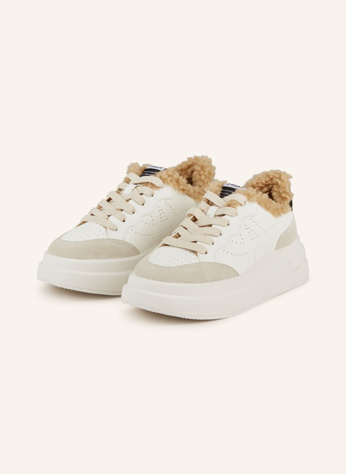 Ash Sneaker Impuls beige von Ash