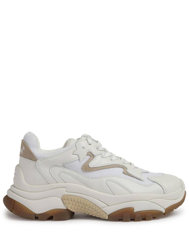 Ash leather sneakers - Neutrals von Ash