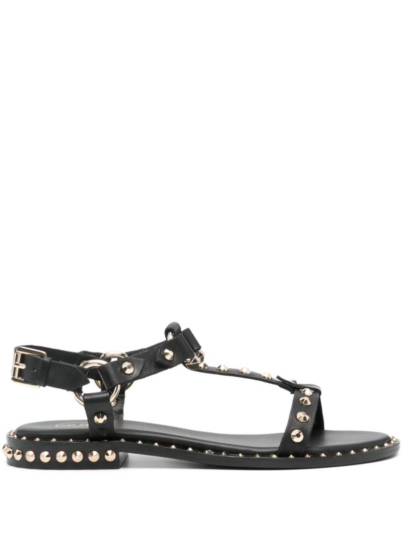 Ash stud-embellished leather sandals - Black von Ash