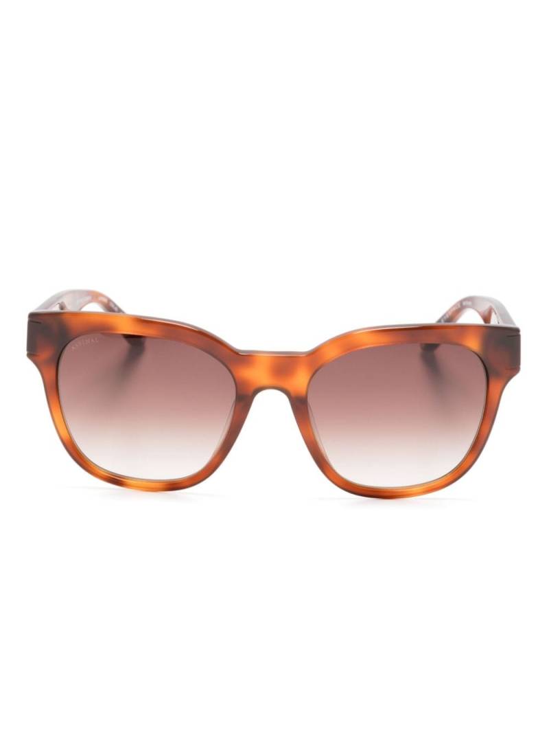 Aspinal Of London Lumiere square-frame sunglasses - Brown von Aspinal Of London