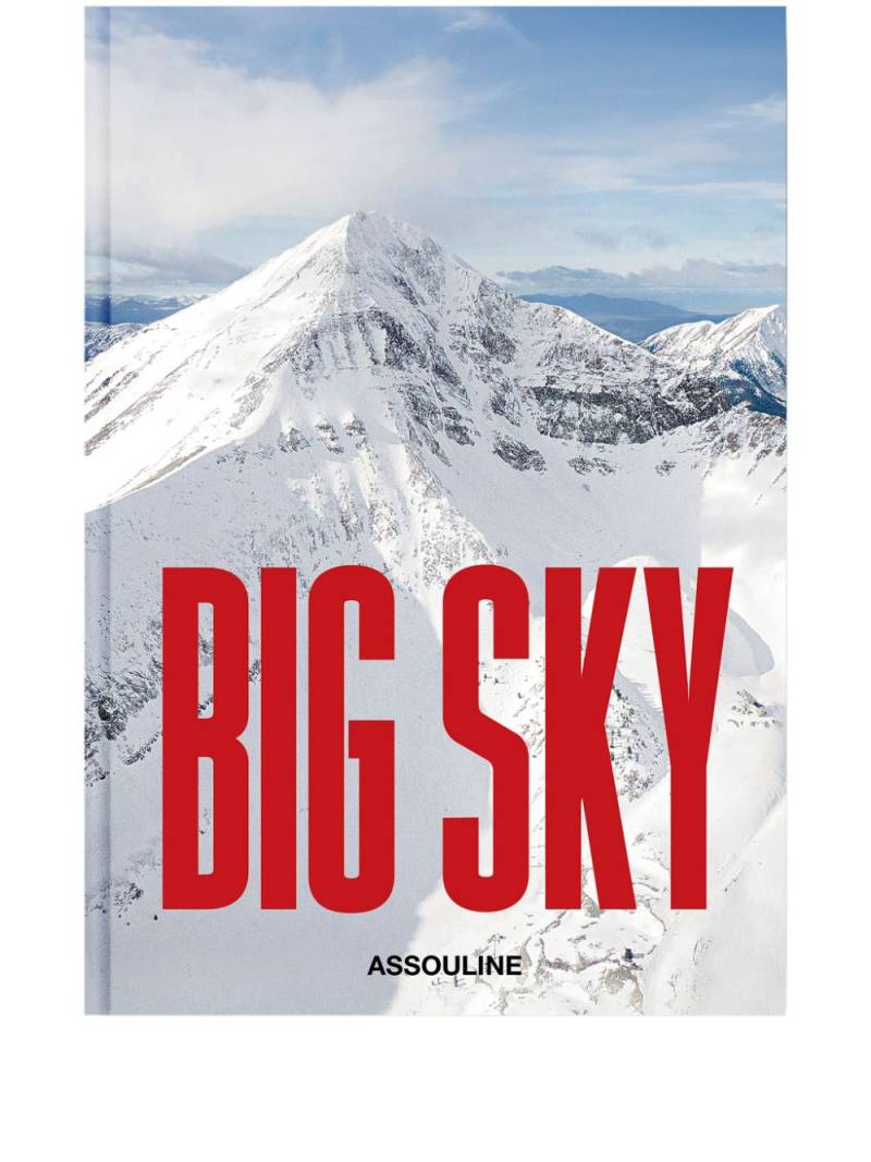 Assouline Big Sky by Barbara Rowley hardcover book - Grey von Assouline