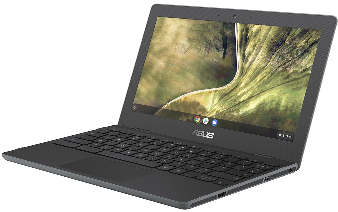 Asus Chromebook »C204MA-GJ0243-1«, 29,34 cm, / 11,6 Zoll, Intel, Celeron, UHD Graphics 600 von Asus