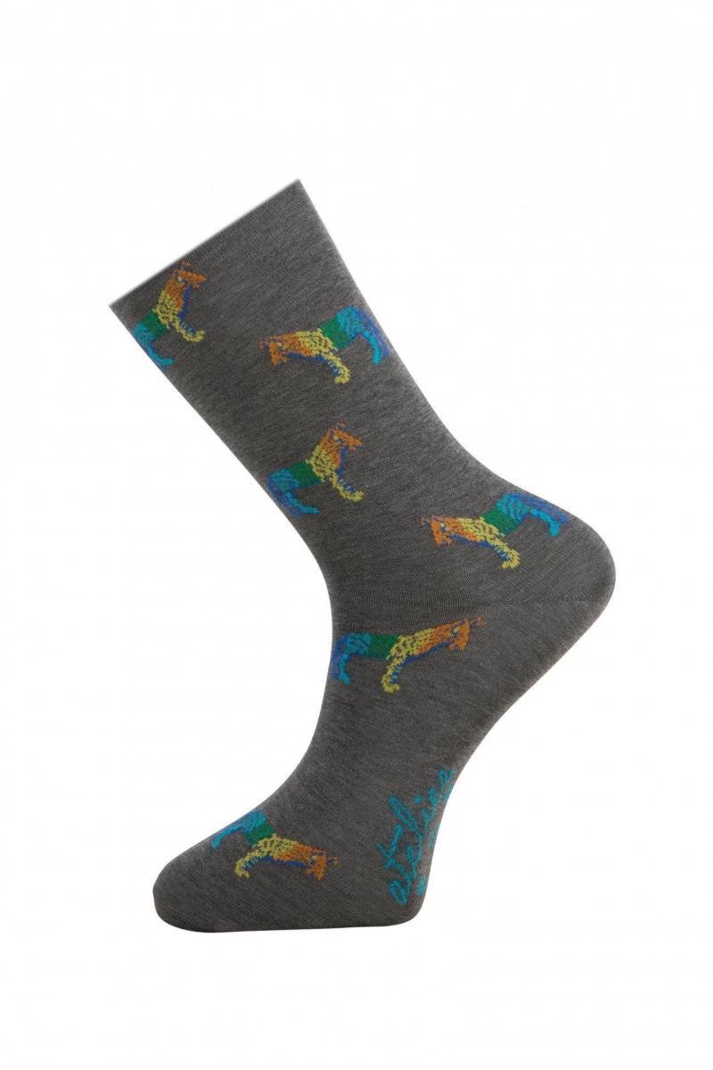 Regenbogen-zebra-socken Herren Grau ONE SIZE von Atelier F&B