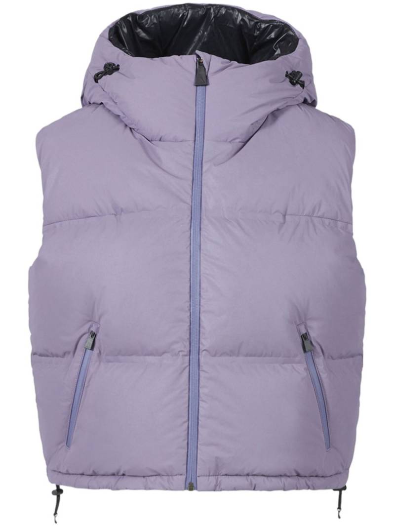 Aztech Mountain Snowbird gilet - Purple von Aztech Mountain