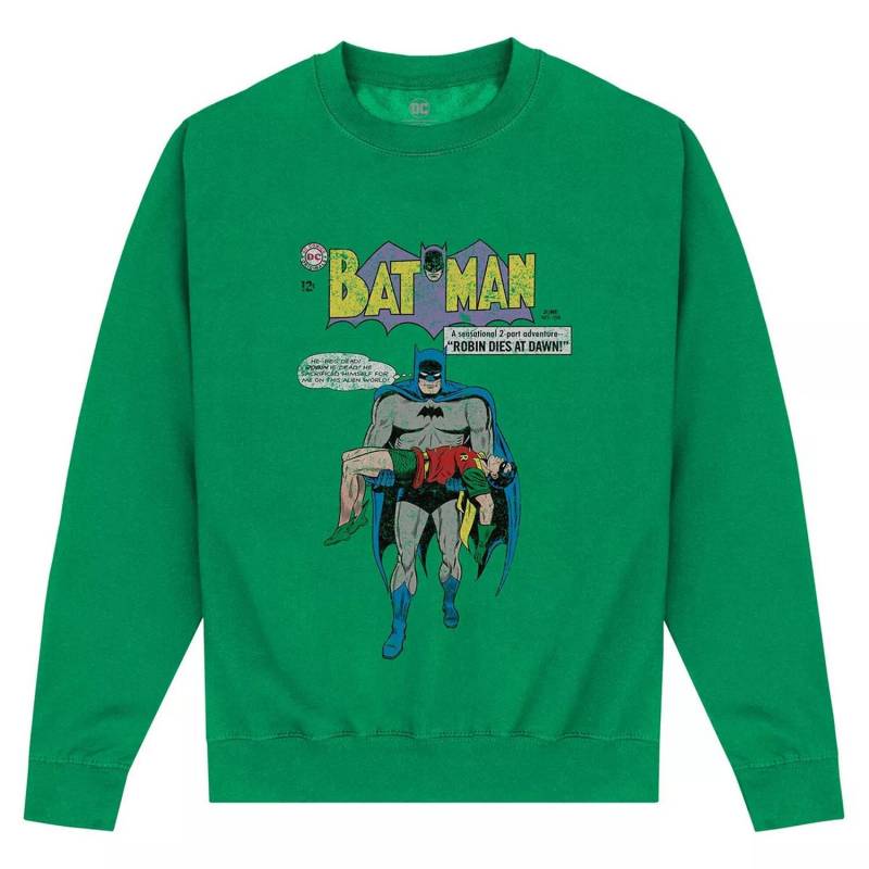 BATMAN - Robin Dies At Dawn Sweatshirt, für Herren, Grün, Größe S von BATMAN