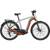 BERGAMONT Herren E-Bike E-Horizon Edition LTD Gent silber | 48 von BERGAMONT