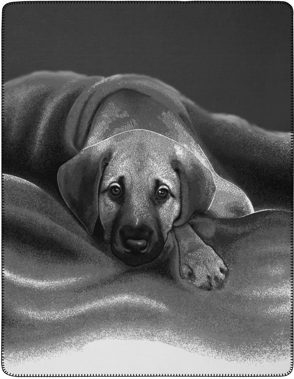 Biederlack Wohndecke »Barry«, mit Hunde Motiv, Kuscheldecke Biederlack Wohndecke »Barry«, mit Hunde Motiv, Kuscheldecke von Biederlack