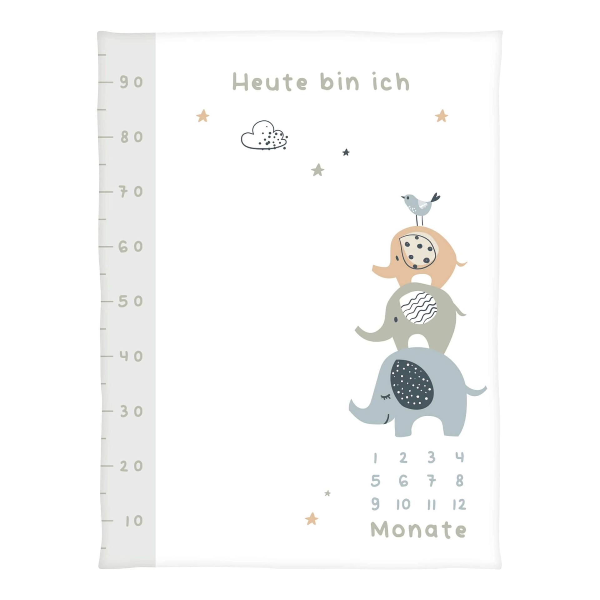 Babydecke Microfaserflausch Meilenstein 75x100 cm Babydecke Microfaserflausch Meilenstein 75x100 cm von Baby Best