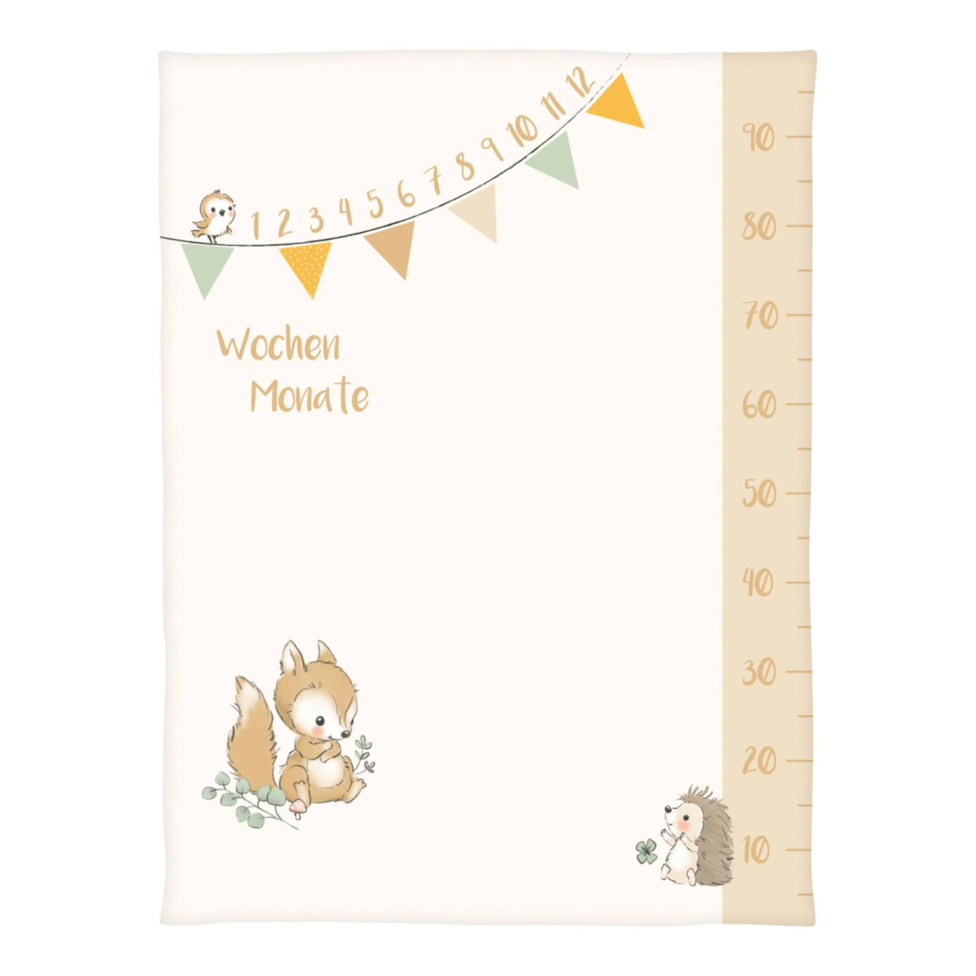 Babydecke Microfaserflausch Meilenstein 75x100 cm Babydecke Microfaserflausch Meilenstein 75x100 cm von Baby Best