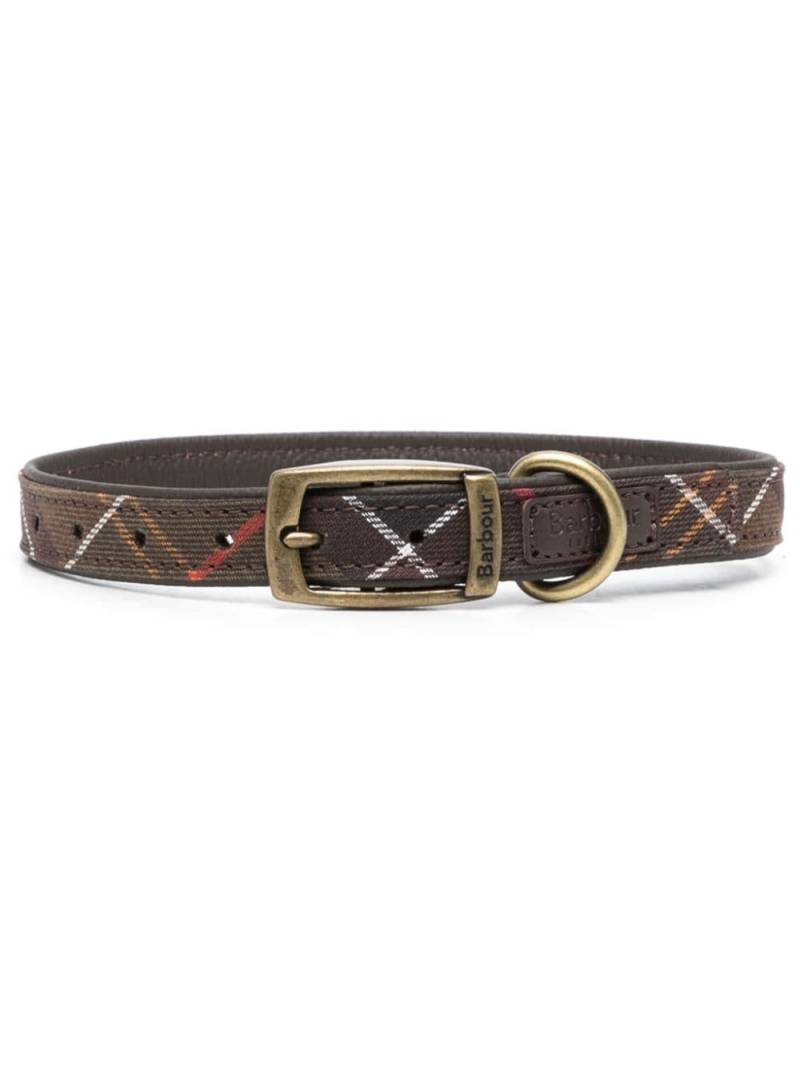 Barbour tartan-print dog collar - Green von Barbour