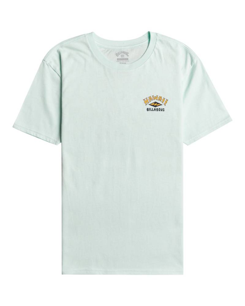 Billabong T-Shirt »Arch Dreamy Place« von Billabong