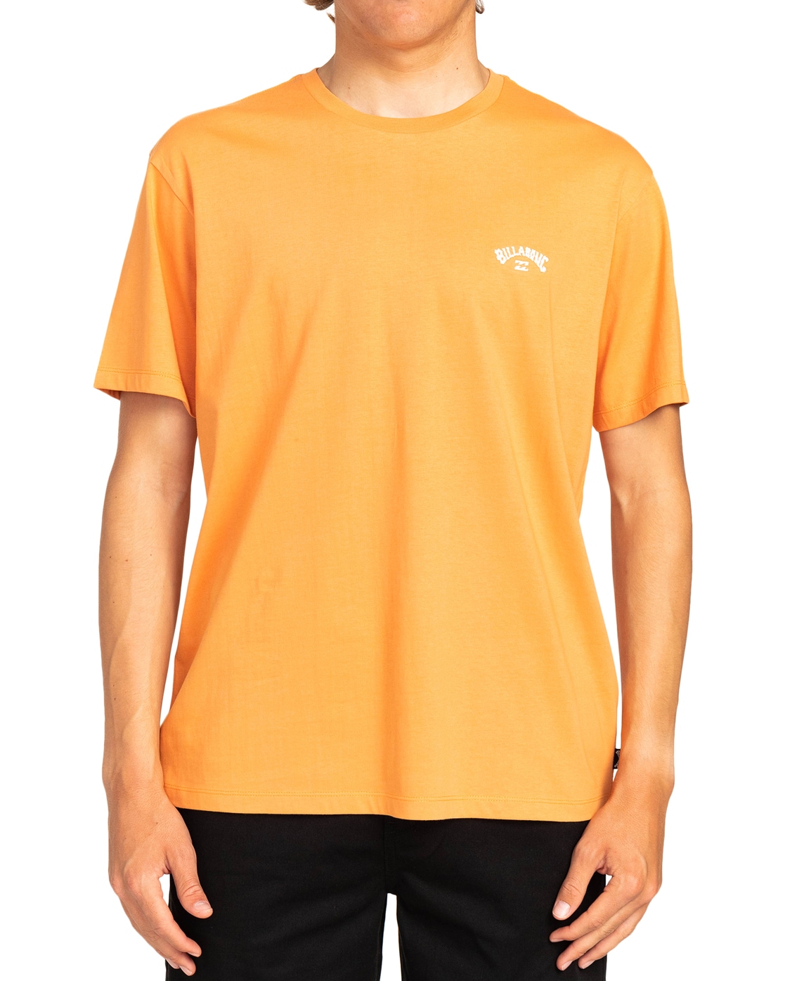 Billabong T-Shirt »Arch« von Billabong