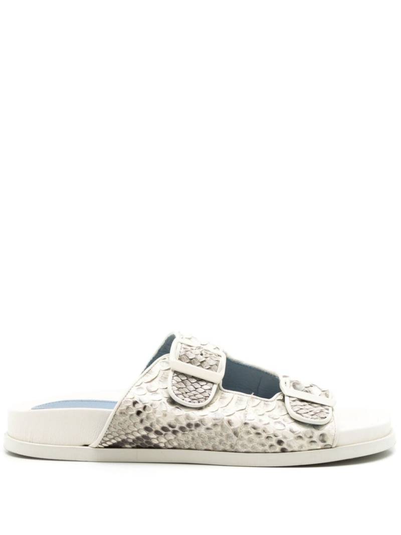 Blue Bird Shoes snakeskin-effect buckle sandals - White von Blue Bird Shoes