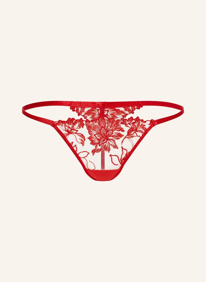 Bluebella String Samara rot von Bluebella