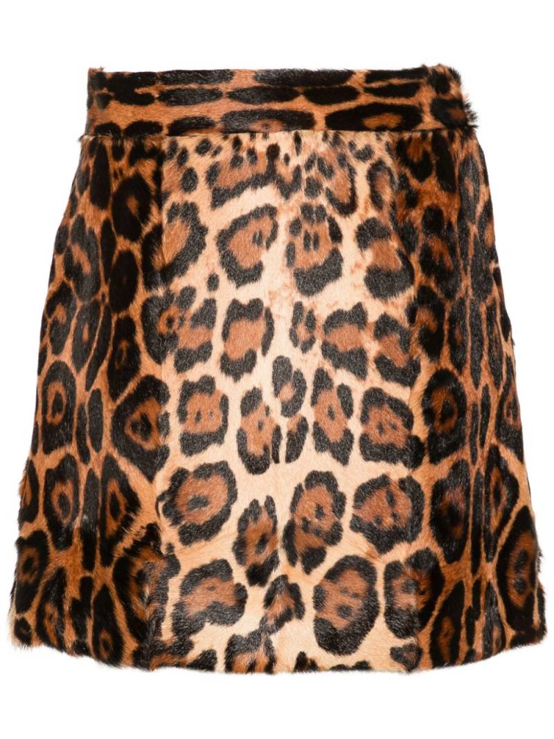 Blumarine leopard-print mini skirt - Brown von Blumarine