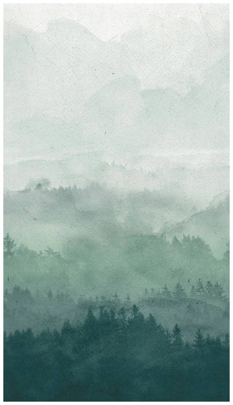 Bodenmeister Fototapete »Effekt Nebel Wald grün« von Bodenmeister