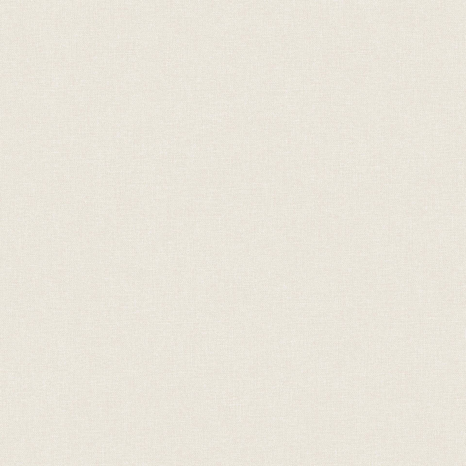 Bodenmeister Vliestapete »uni creme weiss« Bodenmeister Vliestapete »uni creme weiss« von Bodenmeister