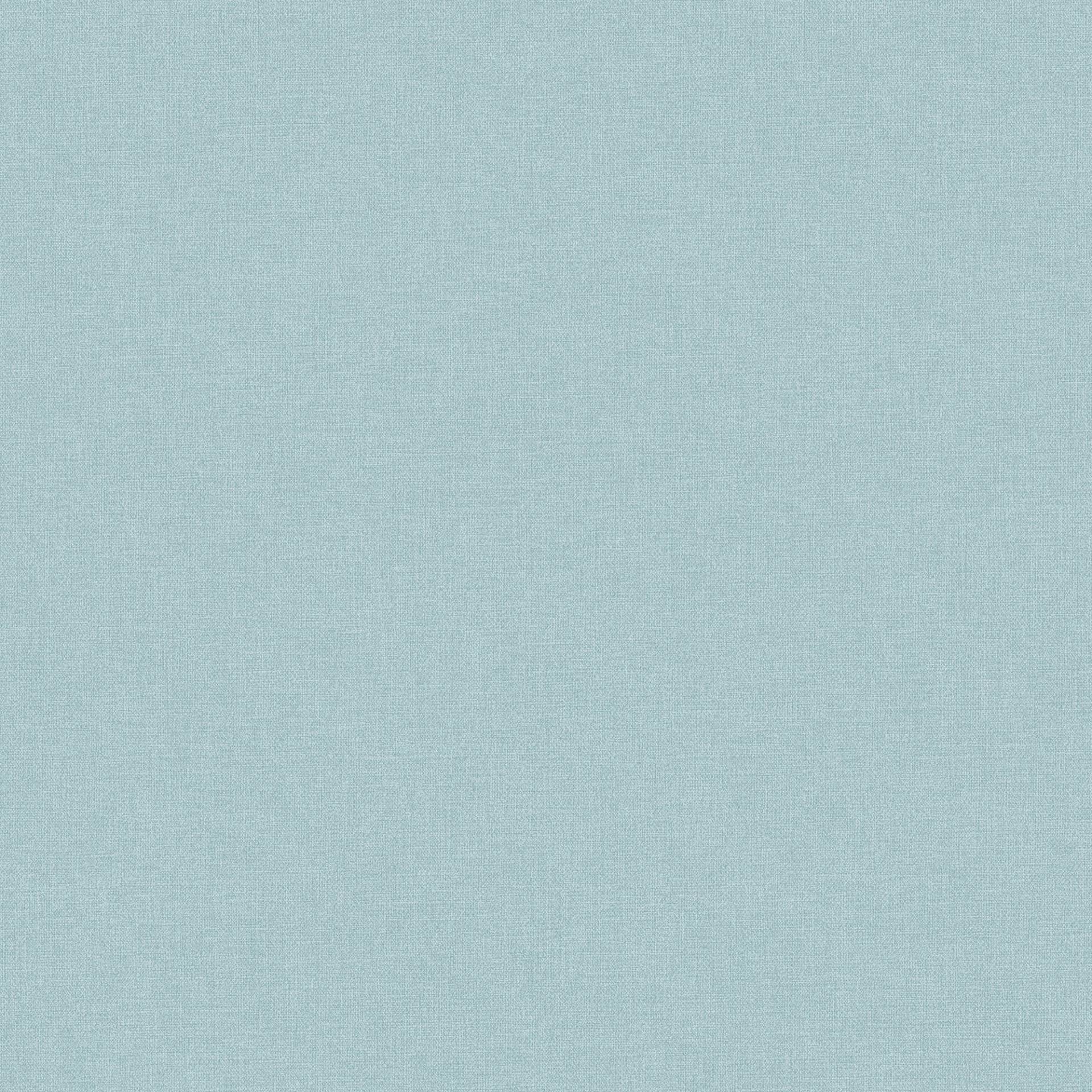 Bodenmeister Vliestapete »uni hell-blau« Bodenmeister Vliestapete »uni hell-blau« von Bodenmeister