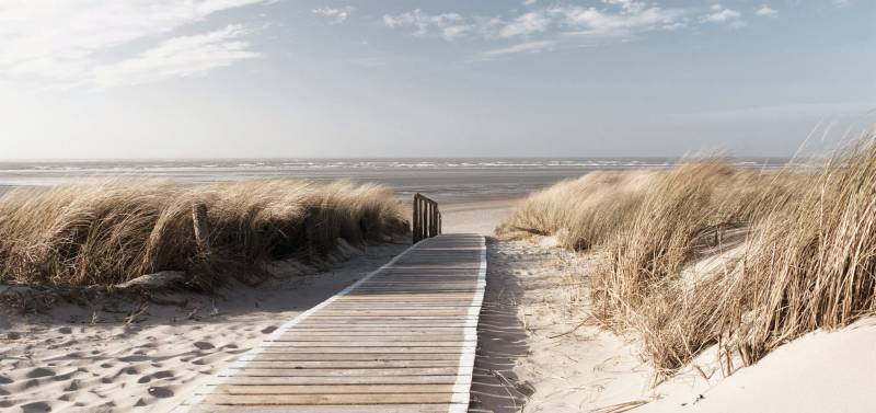 Bönninghoff Leinwandbild »Düne«, (1 St.) von Bönninghoff