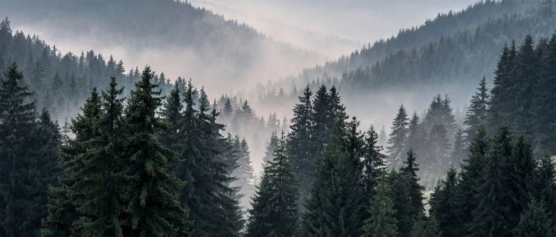 Bönninghoff Leinwandbild »Berglandschaft«, (1 St.) von Bönninghoff