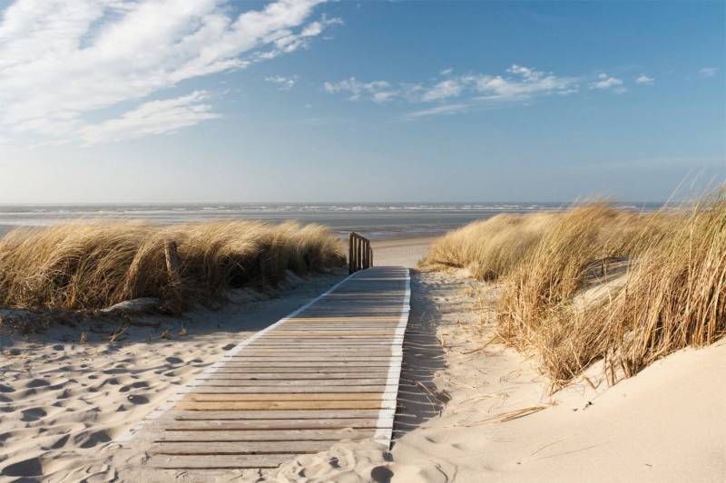 Bönninghoff Leinwandbild »Stranddüne«, (1 St.) von Bönninghoff