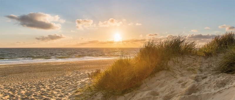 Bönninghoff Leinwandbild »Strand Sonne«, (1 St.) von Bönninghoff