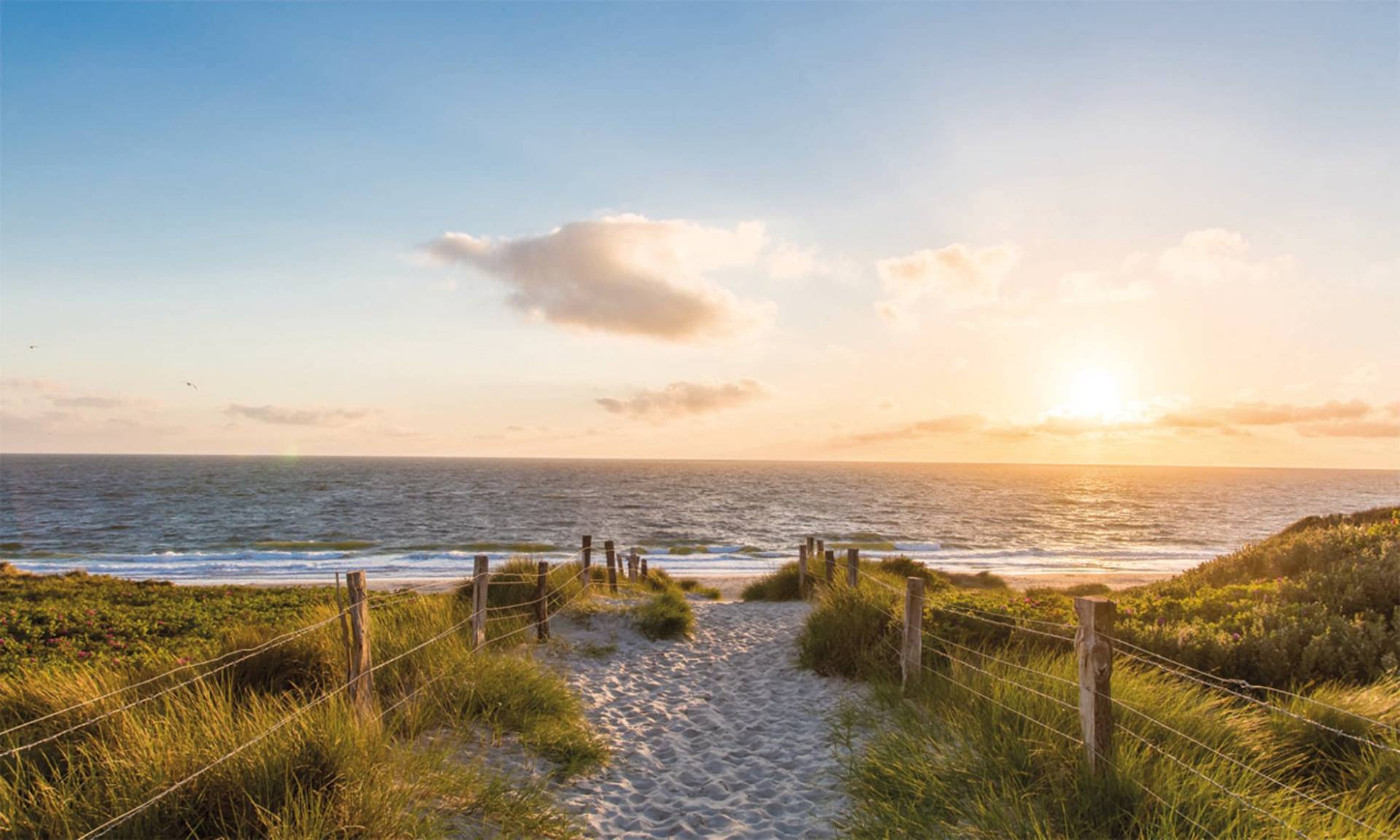 Bönninghoff Leinwandbild »Strand«, (1 St.) von Bönninghoff