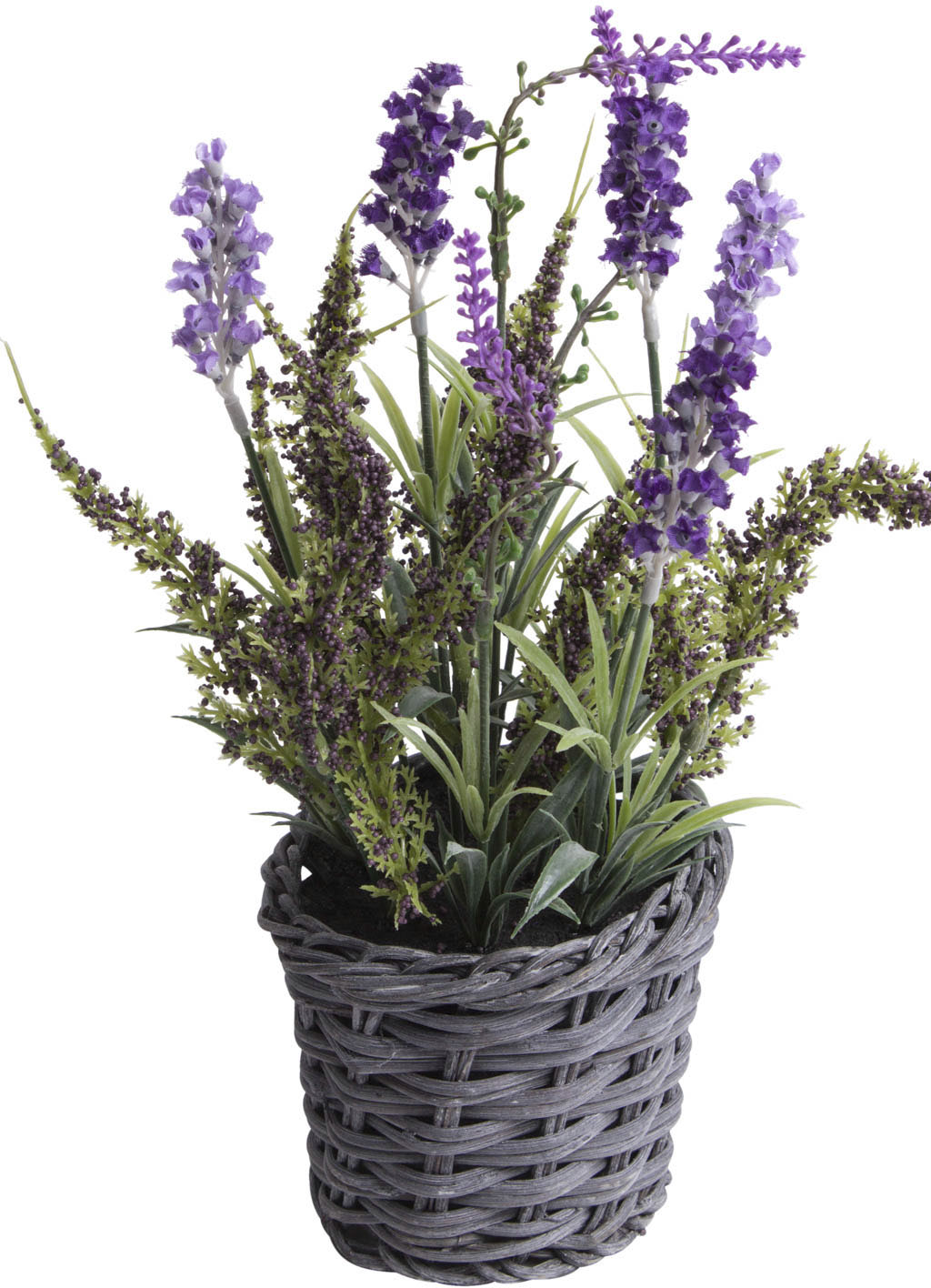 Botanic-Haus Künstliche Zimmerpflanze »Lavendel - Erika Arrangement im Korb« von Botanic-Haus