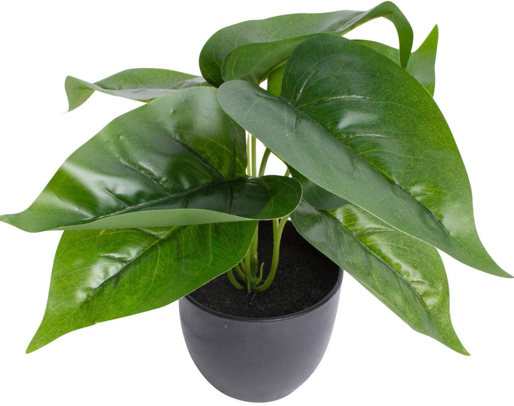 Botanic-Haus Künstliche Zimmerpflanze »Philodendron« Botanic-Haus Künstliche Zimmerpflanze »Philodendron« von Botanic-Haus