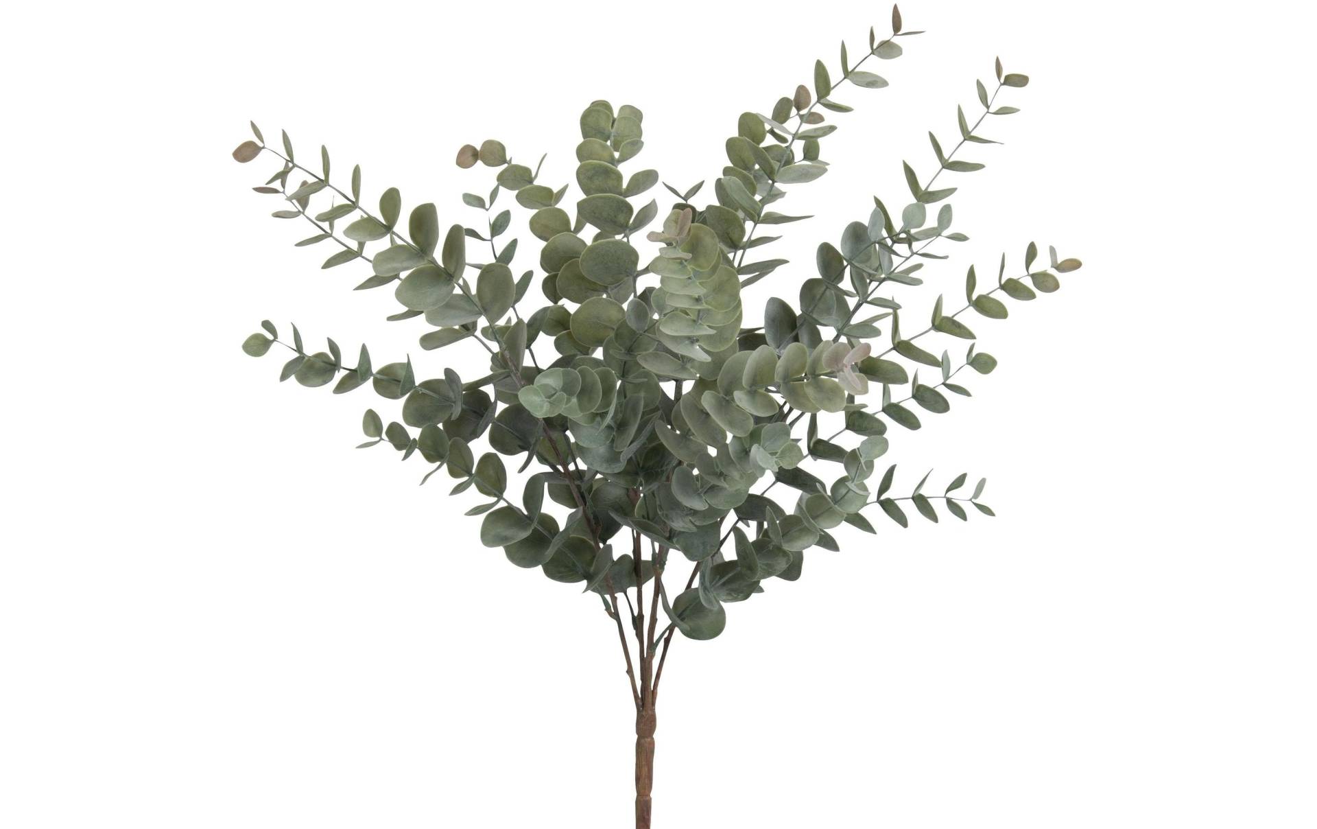 Botanic-Haus Kunstbaum »Eukalyptusbusch 56 cm« Botanic-Haus Kunstbaum »Eukalyptusbusch 56 cm« von Botanic-Haus