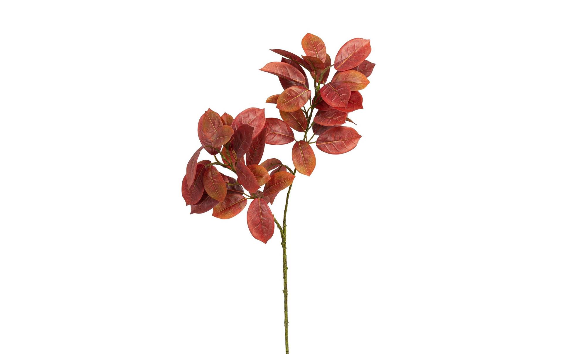 Botanic-Haus Kunstblume »3-er Set 75 cm« Botanic-Haus Kunstblume »3-er Set 75 cm« von Botanic-Haus
