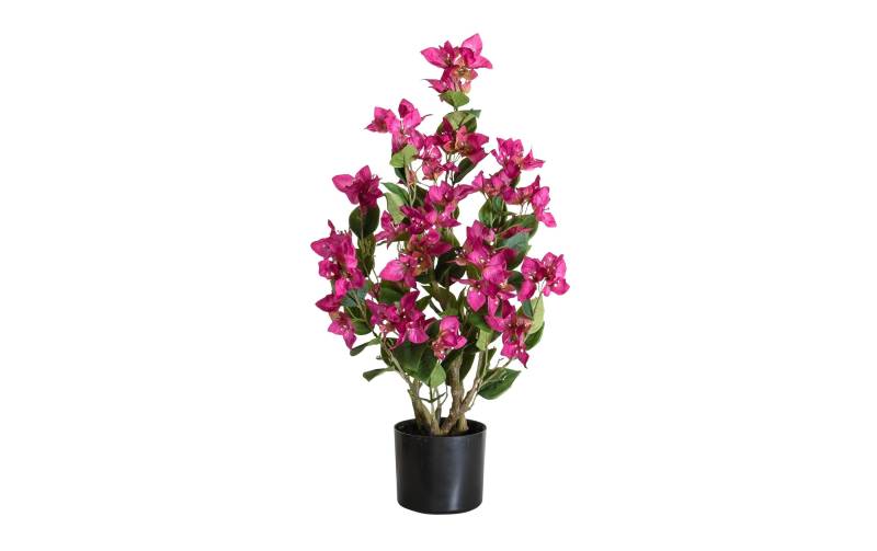 Botanic-Haus Kunstblume »Bougainvillea« von Botanic-Haus