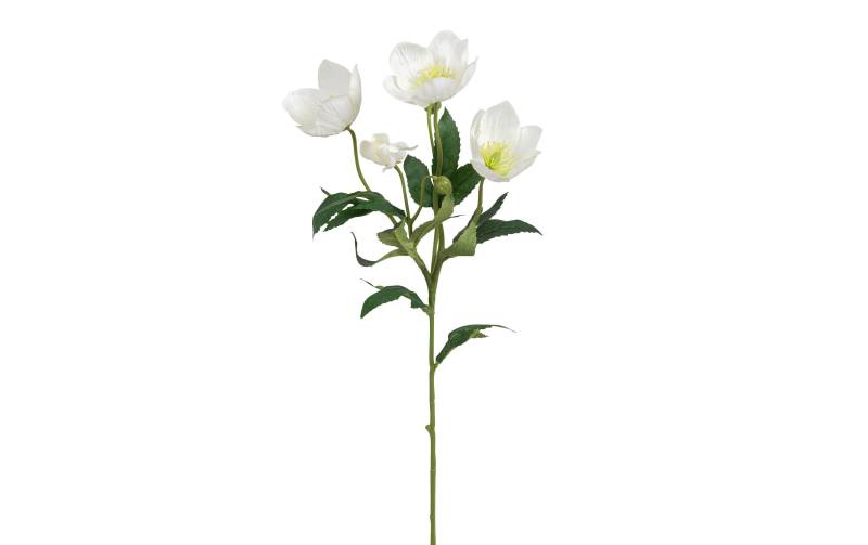 Botanic-Haus Kunstblume »Christrosen 3-er Set, 62 cm, Weiss« von Botanic-Haus