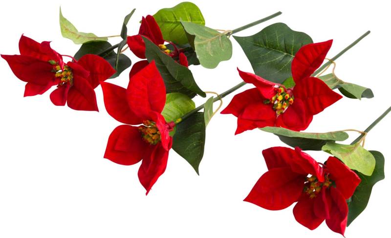 Botanic-Haus Kunstblume »Edel-Poinsettienpick« von Botanic-Haus