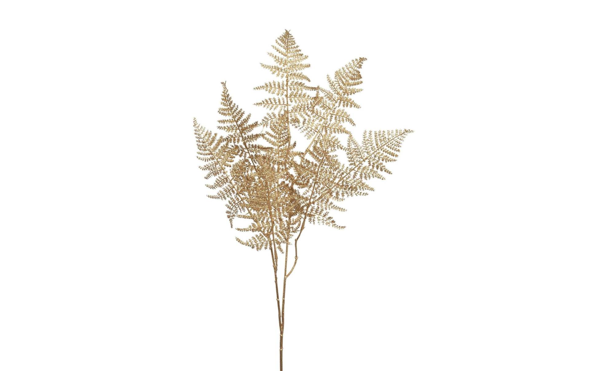Botanic-Haus Kunstblume »Farnzweig Glimmer 3-er Set, 84 cm, Goldfarben« Botanic-Haus Kunstblume »Farnzweig Glimmer 3-er Set, 84 cm, Goldfarben« von Botanic-Haus