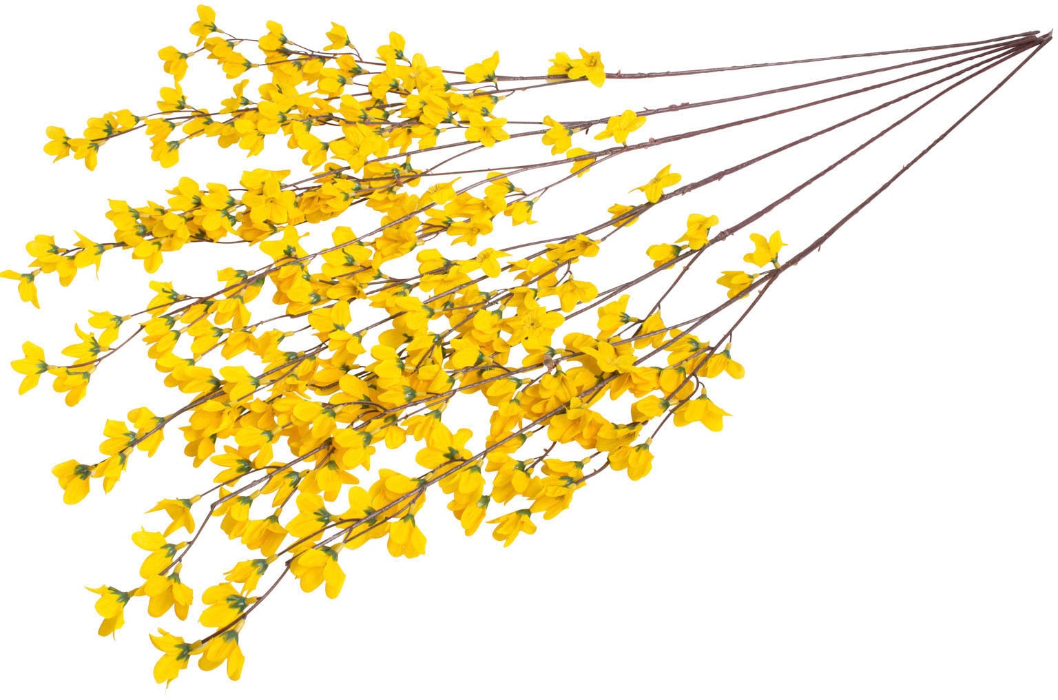 Botanic-Haus Kunstblume »Forsythienzweig mit 3 Stielen« Botanic-Haus Kunstblume »Forsythienzweig mit 3 Stielen« von Botanic-Haus