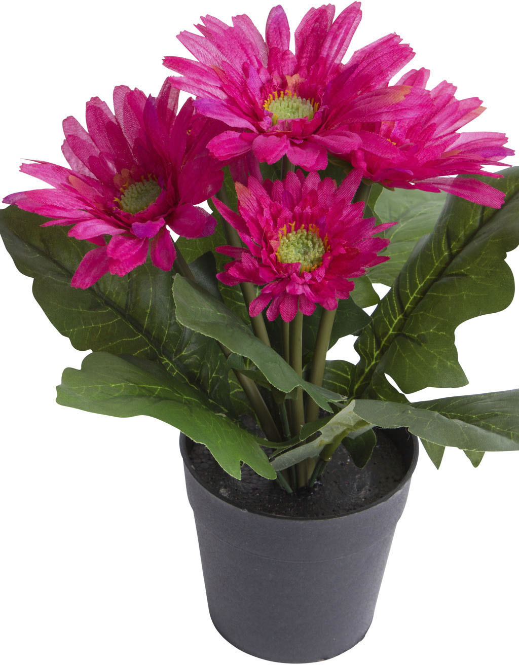 Botanic-Haus Kunstblume »Gerbera mit 5 Blüten« von Botanic-Haus