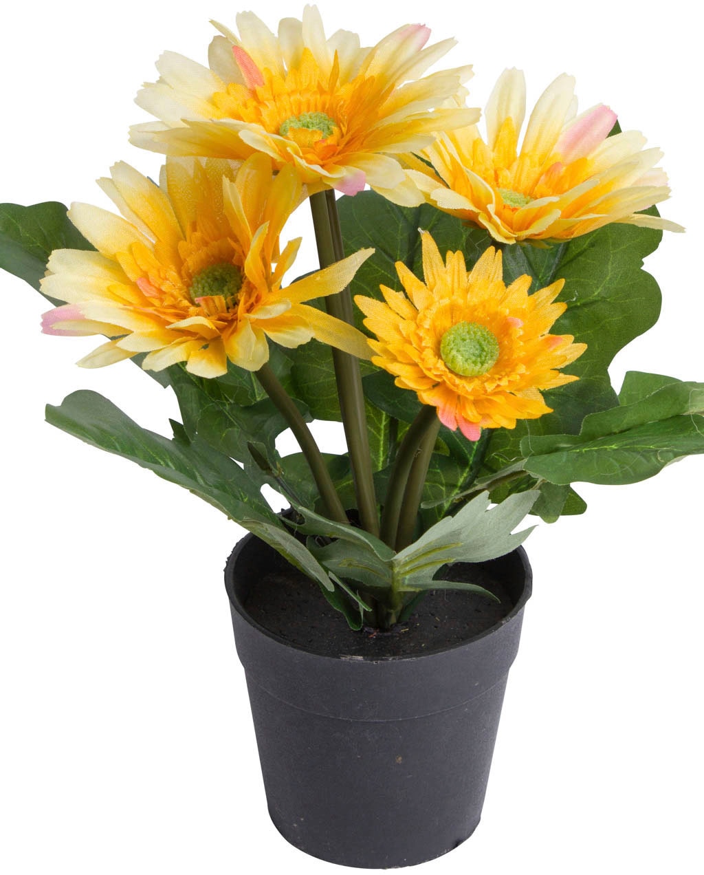 Botanic-Haus Kunstblume »Gerbera mit 5 Blüten« Botanic-Haus Kunstblume »Gerbera mit 5 Blüten« von Botanic-Haus