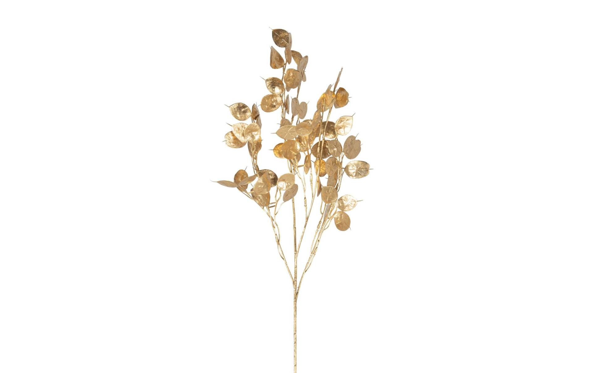 Botanic-Haus Kunstblume »Lunaria 3-er Set, 74 cm« Botanic-Haus Kunstblume »Lunaria 3-er Set, 74 cm« von Botanic-Haus