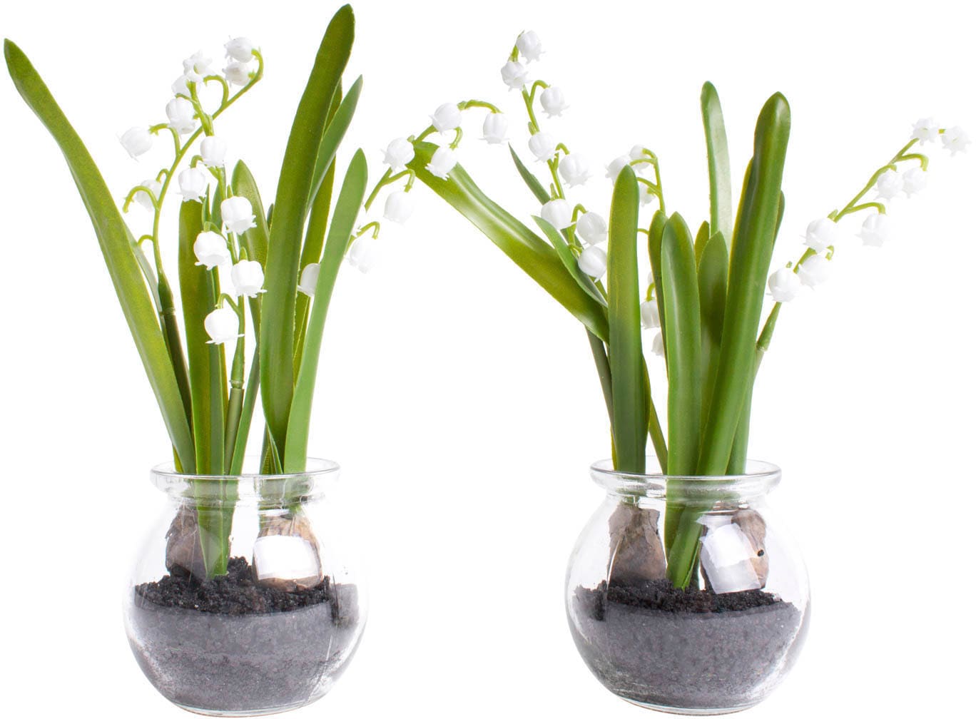 Botanic-Haus Kunstblume »Maiglöckchen im Glas« Botanic-Haus Kunstblume »Maiglöckchen im Glas« von Botanic-Haus
