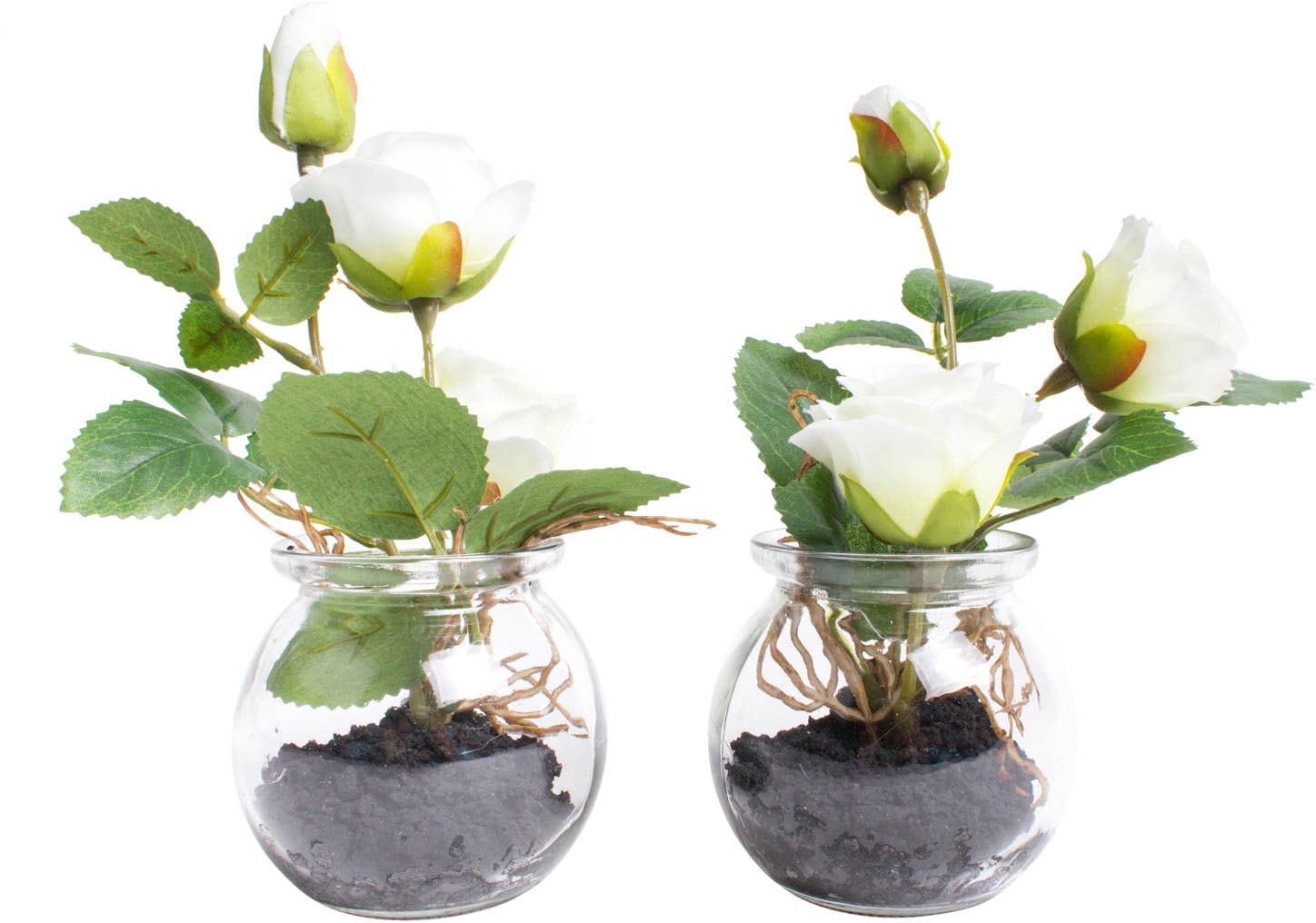 Botanic-Haus Kunstblume »Rosen im Glas« Botanic-Haus Kunstblume »Rosen im Glas« von Botanic-Haus