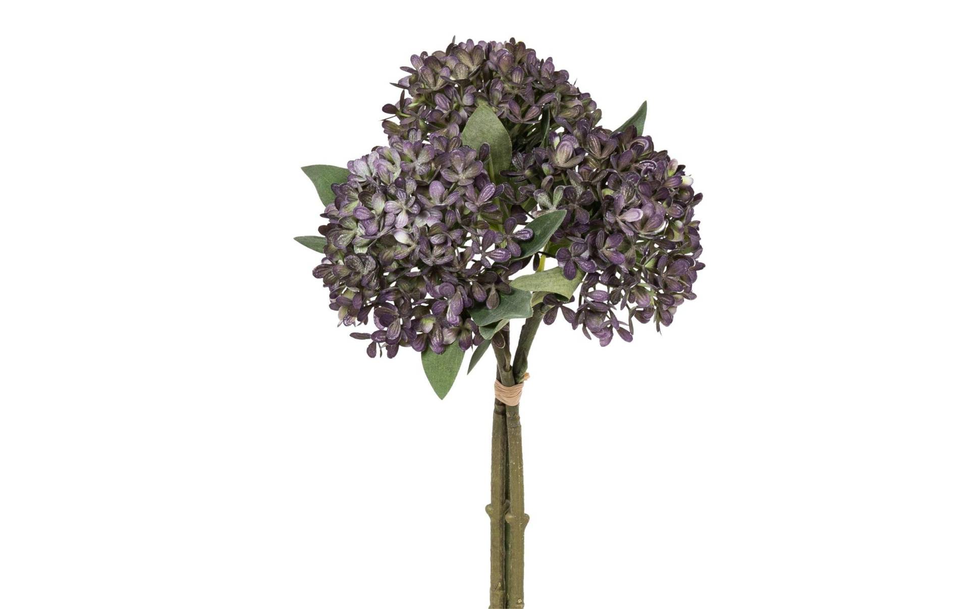 Botanic-Haus Kunstblume »Schneeballbund 3er Set, 30 cm, Lila« Botanic-Haus Kunstblume »Schneeballbund 3er Set, 30 cm, Lila« von Botanic-Haus