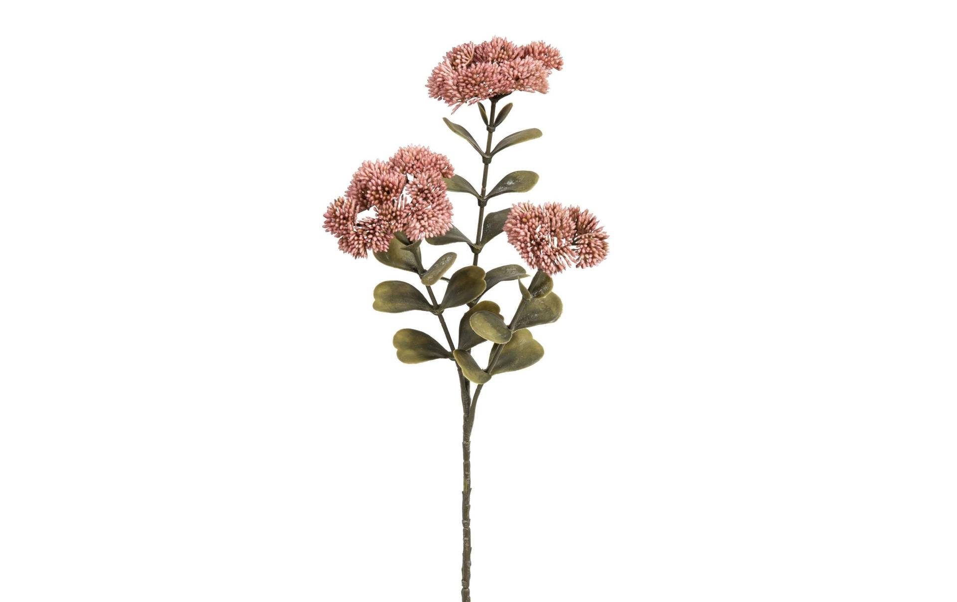 Botanic-Haus Kunstblume »Sedumzweig 3-er Set, 57 cm« von Botanic-Haus