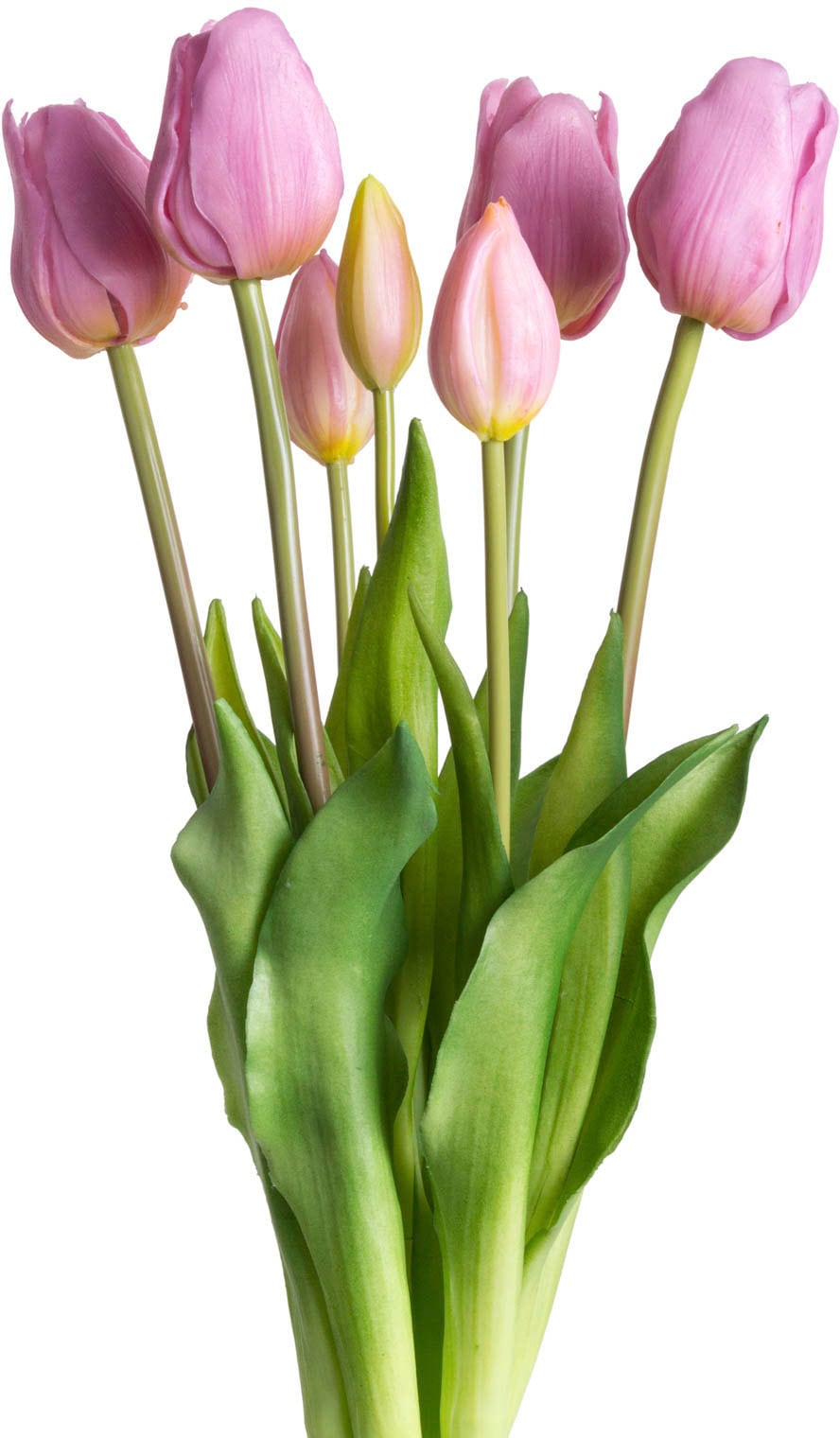 Botanic-Haus Kunstblume »Tulpenbündel« Botanic-Haus Kunstblume »Tulpenbündel« von Botanic-Haus