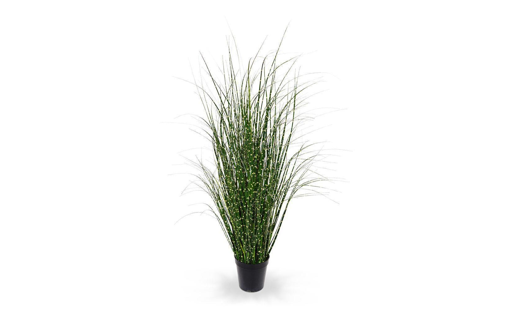 Botanic-Haus Kunstblume »Zebragras 80 cm« Botanic-Haus Kunstblume »Zebragras 80 cm« von Botanic-Haus