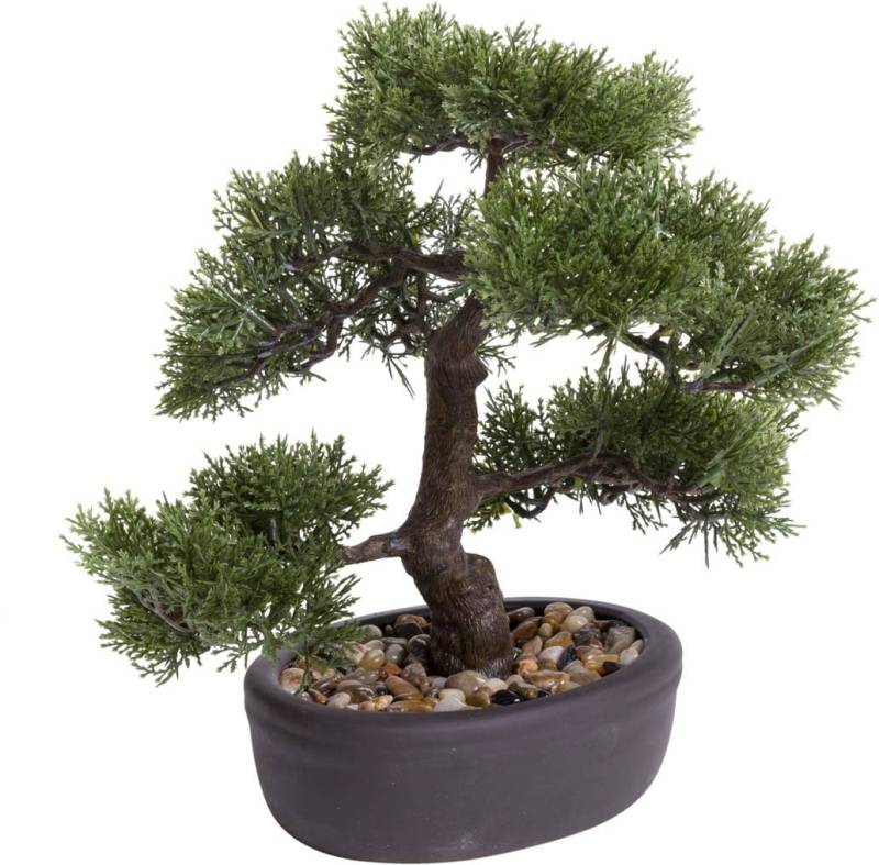 Botanic-Haus Kunstbonsai »Ceder Bonsai« von Botanic-Haus