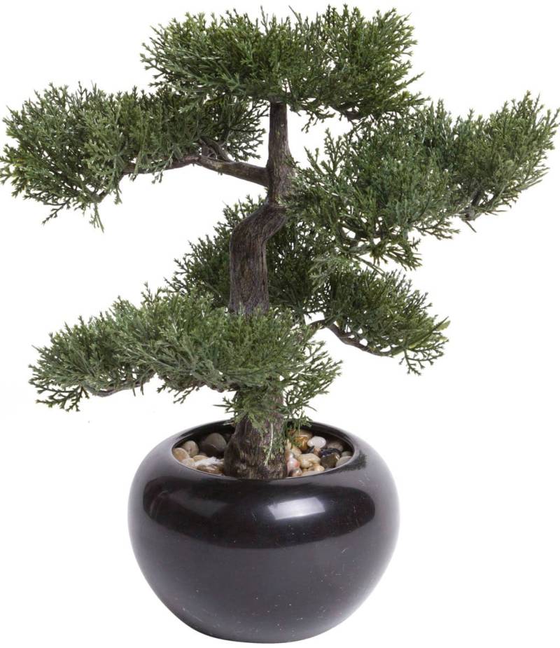 Botanic-Haus Kunstbonsai »Ceder Bonsai« von Botanic-Haus