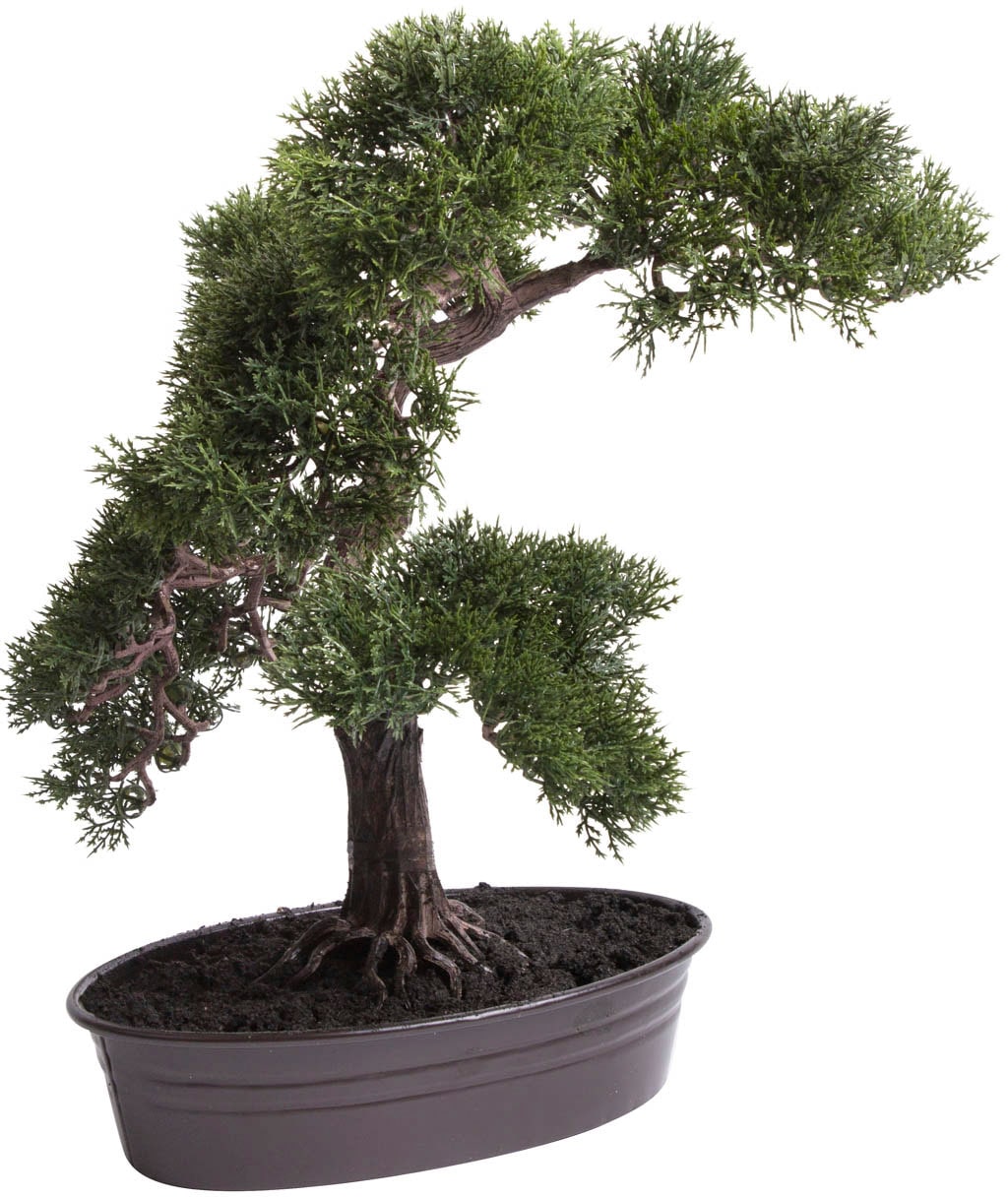 Botanic-Haus Kunstbonsai »Cedern Bonsai« Botanic-Haus Kunstbonsai »Cedern Bonsai« von Botanic-Haus